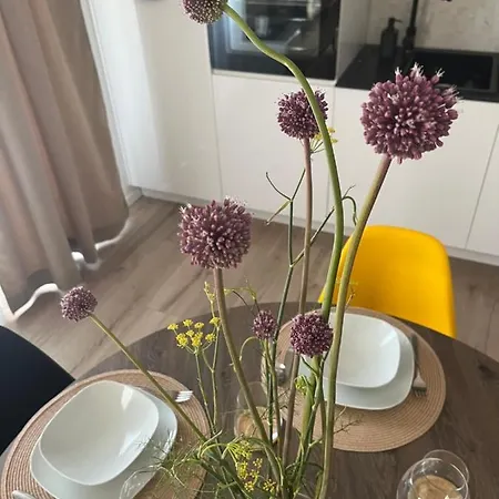 Sea Story Apartment Mali Lošinj