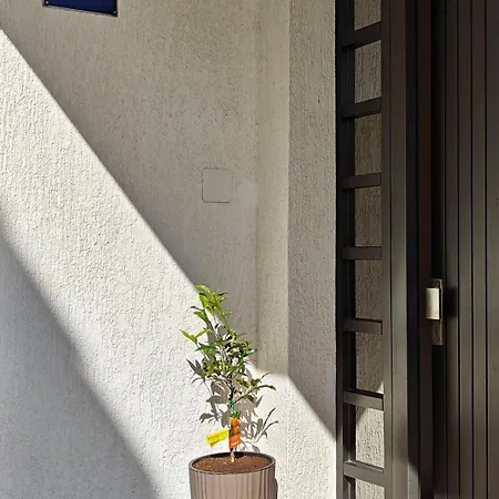 Apartment Sea Story *