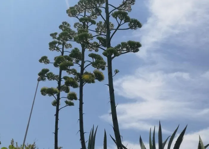 Appartamento Sea Story 2 *