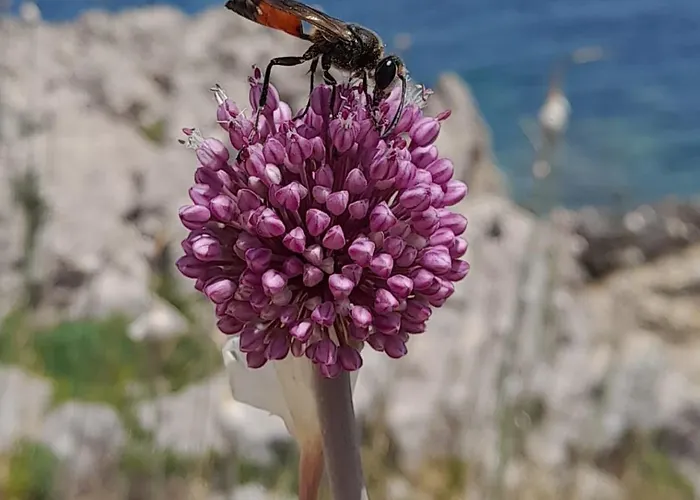 Appartamento Sea Story 2