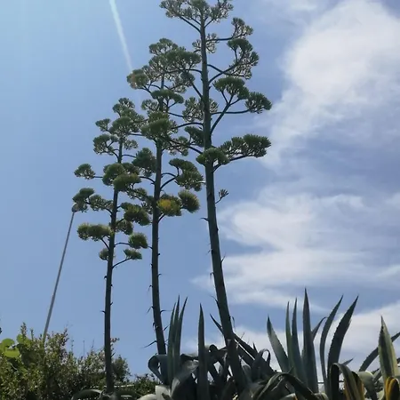 公寓 Sea Story 2 *